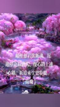 在万峰林赏最早油菜花 共赴一场温暖的“冬日雅宴”